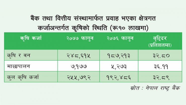 कृषि कर्जा ३२% बढ्यो