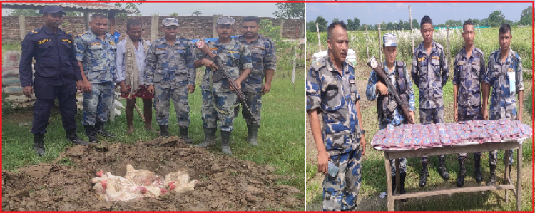 प्रतिबन्धित विष्फोटक पदार्थ र भारतीय कुखुरा बरामद 