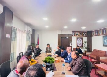 समस्याकाे पाेका बाेकेर व्यावसायी काठमाडौंमा