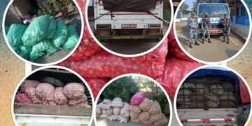 भारतले निर्यातमा प्रतिबन्ध लगाएको प्याज नेपालमा तस्करी हुदै