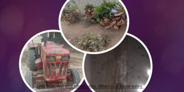 बालुवा सहितको ट्याक्टर, सालको काँचो दाउरा र गोलिया बरामद