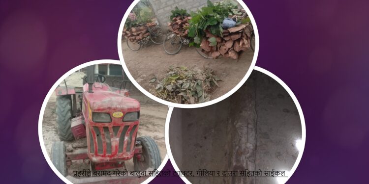 बालुवा सहितको ट्याक्टर, सालको काँचो दाउरा र गोलिया बरामद