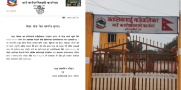 एम्बुलेन्स चालकको निधनको शोकमा कालिकामाई गाउँपालिकामा शोक विदा