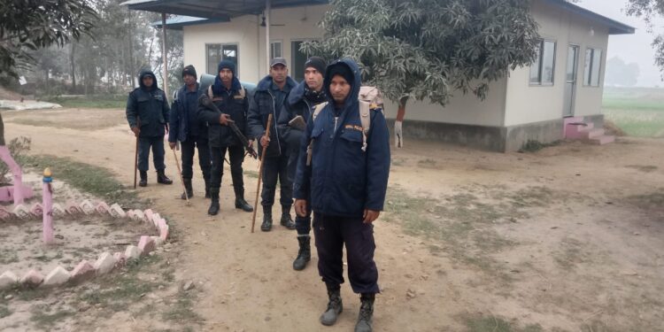 इलाका प्रहरी कार्यालय पटेर्वासुगौली क्षेत्रमा प्रहरीको पैदल गस्ती