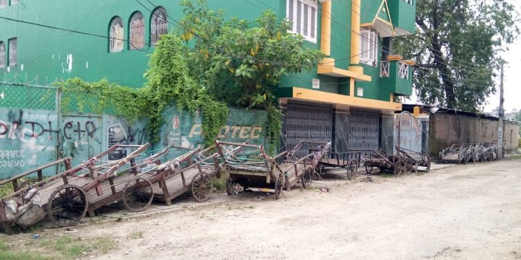 नेपालमा गरिबीको दर २० दशमलव २७ प्रतिशतमा झरेको तथ्याङ्क सार्वजनिक