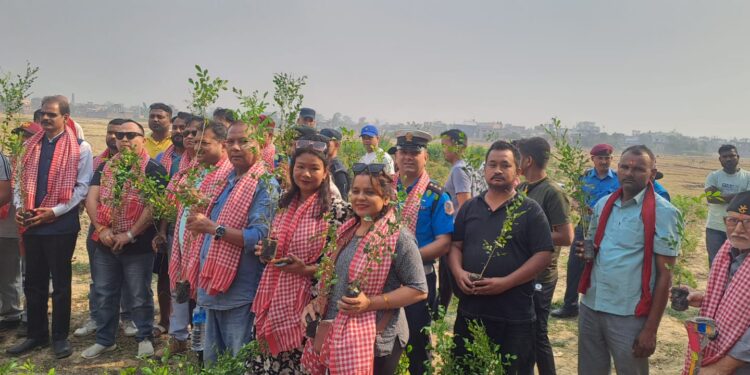 वीरगन्जको इनरुवामा पाँच हजार विरुवा वृक्षरोपण