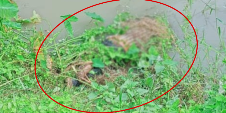 बाराकोको प्रसौनी १ त्रिवेणीमा फेला परेको शवको पहिचान खुल्यो