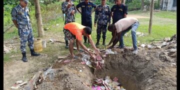 सशस्त्र प्रहरी सोलखपुरद्वारा पटका बरामद गरी नष्ट