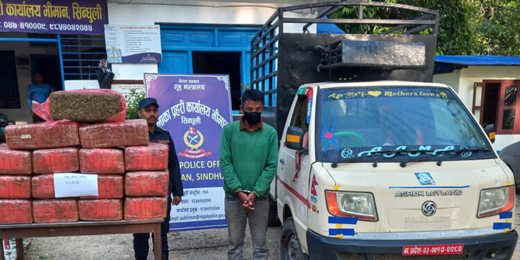 चितवनका लामा १८९ किलो गाँजा सहित सिन्धुलीमा पक्राउ