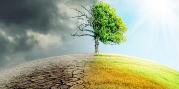 जलवायु परिवर्तनको प्रभाव: खाद्यान्नको मूल्य दोब्बर हुने, निद्रामा समेत असर