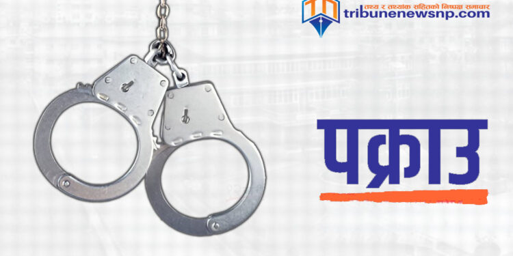 सांसद शाहीको आरोप: सरकार कमजोरी लुकाउन प्रतिपक्षको गालीमा व्यस्त