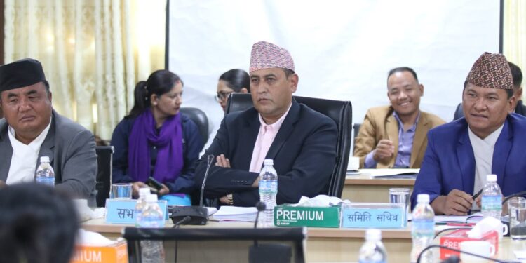 संसदीय छानबिन समिति गठन हुँदै: निजामती विधेयकको ‘कुलिङ पिरियड’मा अनुसन्धान