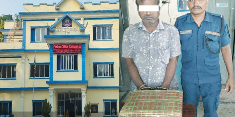 बारामा ७ किलो ४७० ग्राम गाँजासहित एक जना पक्राउ