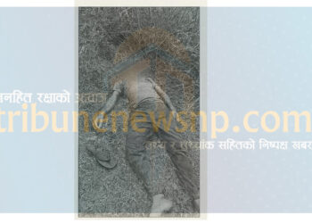 बारामा बाघको आक्रमणबाट एक जनाको मृत्यु