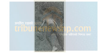 बारामा बाघको आक्रमणबाट एक जनाको मृत्यु