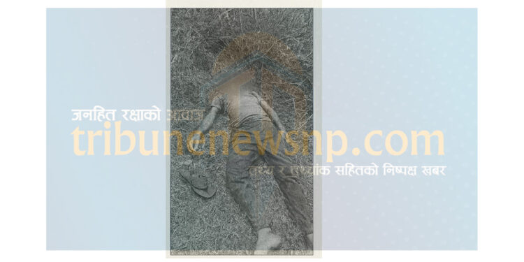 बारामा बाघको आक्रमणबाट एक जनाको मृत्यु