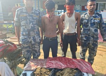 सशस्त्र प्रहरीद्वारा ५ किलो गाँजासहित दुई युवक पक्राउ, तस्करीमा प्रयोग भएको मोटरसाइकलसमेत बरामद