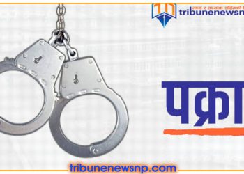 प्रहरीलाई कुटपिट गरेको आरोपमा राजविराजबाट दुई युवक पक्राउ
