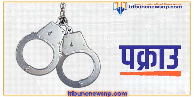प्रहरीलाई कुटपिट गरेको आरोपमा राजविराजबाट दुई युवक पक्राउ