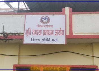 पर्सामा ६१२५ भूमिहीनको निवेदन दर्ता, धोबिनी गाउँपालिकाको असहयोगले समस्या