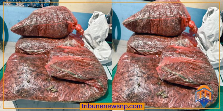 पर्सामा ९ केजीभन्दा बढी गाँजासहित तीन भारतीय नागरिक पक्राउ