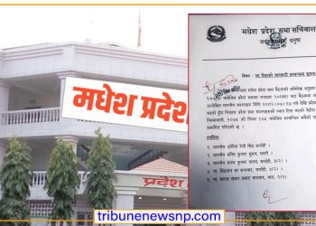 मधेस प्रदेशको राजनीति थप चर्किदै, पाँच प्रदेश सभा सदस्यको पद रिक्त