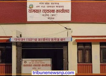 कलैया यातायात कार्यालयमा स्मार्ट लाइसेन्स वितरणमा व्यापक भ्रष्टाचारको आरोप, सेवाग्राही आन्दोलनको तयारीमा