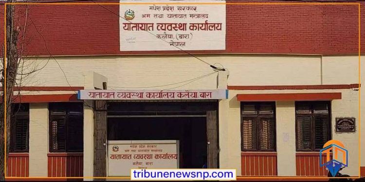 कलैया यातायात कार्यालयमा स्मार्ट लाइसेन्स वितरणमा व्यापक भ्रष्टाचारको आरोप, सेवाग्राही आन्दोलनको तयारीमा