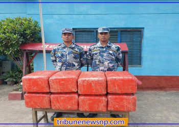 पर्सामा सशस्त्र प्रहरीद्वारा १२० किलो गाँजा बरामद