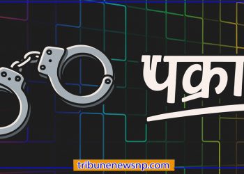 सुनसरीमा सफारी चालक हत्या प्रकरणमा मुख्य योजनाकारसहित ७ जना पक्राउ