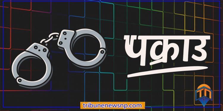 सुनसरीमा सफारी चालक हत्या प्रकरणमा मुख्य योजनाकारसहित ७ जना पक्राउ