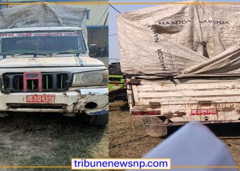 अवैध चक्लेट सहित पिकअप बारा प्रहरीको नियन्त्रणमा