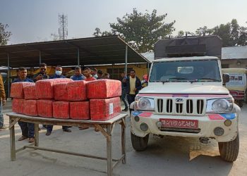 १७६ केजी गाँजासहित पिकअप गाडी र चालक पक्राउ