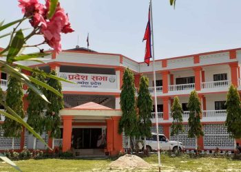 मधेशमा नेतृत्वका लागि ७ दलीय गठबन्धनको रस्साकस्सी