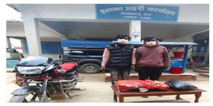 बारामा मोटरसाइकलमा गाँजा ओसारपसार गर्ने दुई जना पक्राउ