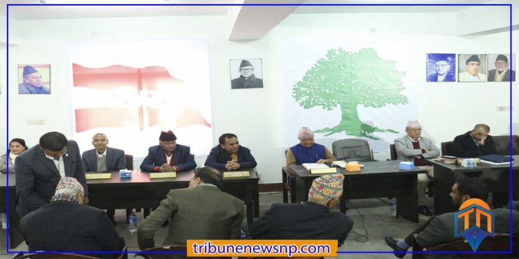 कांग्रेसको समानुपातिक सूचीमा ‘भद्रगोल’: नातावाद र गुटबन्दीको चर्को विरोध
