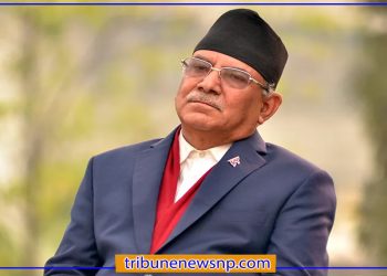 प्रचण्ड आज नयाँदिल्ली जाँदै, प्रवासी संगठनको सन्देश सभालाई सम्बोधन गर्ने