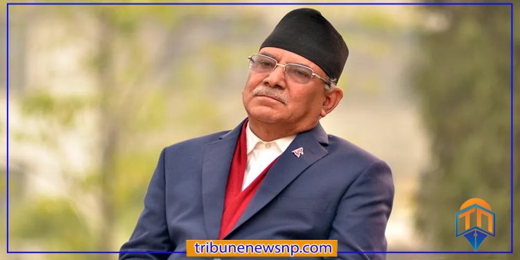 प्रचण्ड आज नयाँदिल्ली जाँदै, प्रवासी संगठनको सन्देश सभालाई सम्बोधन गर्ने