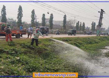 वीरगंजमा लामखुट्टे नियन्त्रण अभियान सुरु