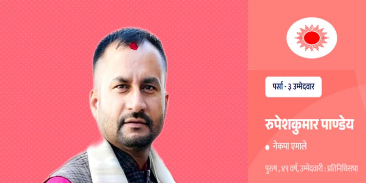 रुपेश पाण्डेको उम्मेदवारी विवाद: सर्वोच्चद्वारा निर्वाचन आयोगसँग लिखित जवाफ माग