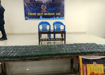 वीरगञ्जमा ठूलो परिमाणको प्रतिबन्धित ट्रामडोलसहित दुई जना पक्राउ