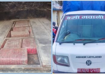 मनहरीबाट १७१ किलो बढी गाँजा सहित एकजना पक्राउ