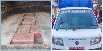 मनहरीबाट १७१ किलो बढी गाँजा सहित एकजना पक्राउ