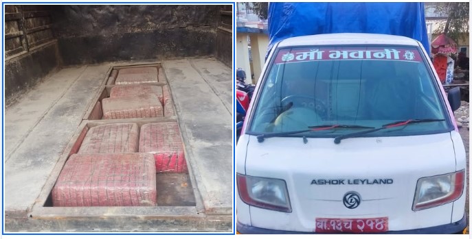 मनहरीबाट १७१ किलो बढी गाँजा सहित एकजना पक्राउ