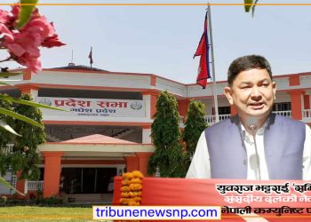मधेस प्रदेशको चौथो ठूलो दल नेकपाको संसदीय दलको नेता युवराज भट्टराई