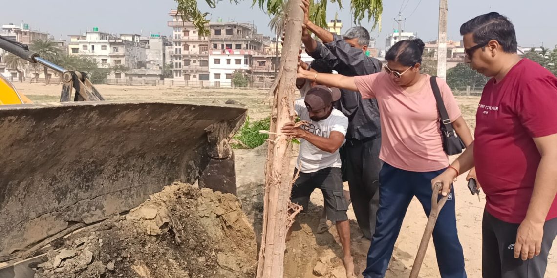 सडक विस्तारका क्रममा उखेलिएका रुखको पुनः वृक्षारोपण, हरियाली जोगाउने ग्रीन सिटीको प्रयास