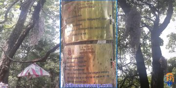 सलहेश फूलबारीमा नयाँ वर्षको रौनक: दुर्लभ ‘सुनाखरी’ फुलेसँगै दर्शनार्थीको घुइँचो