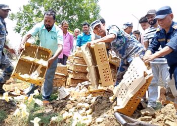 पर्सामा सशस्त्र प्रहरीद्वारा ८ हजार प्रतिबन्धित कुखुराका चल्ला नियन्त्रण र नष्ट