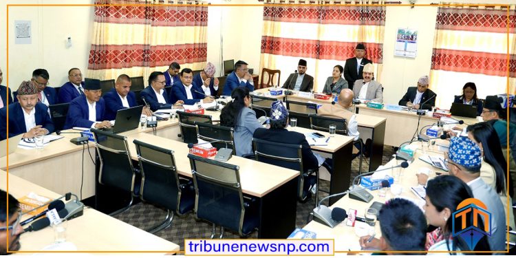 वास्तविक सुकुम्वासीलाई घरभाडा बापत मासिक १५ हजार दिने तयारी