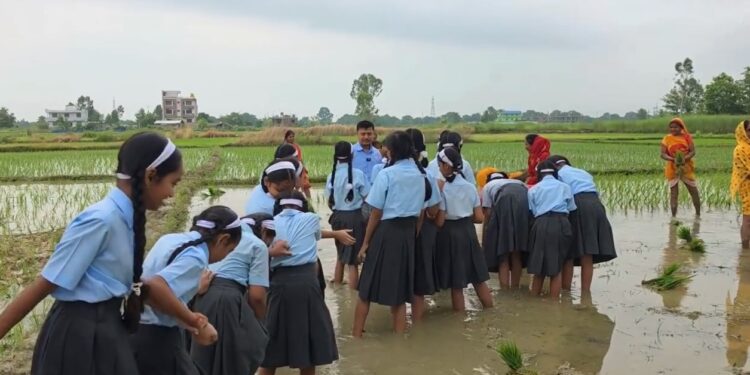 किताबी ज्ञान छोडेर खेतको हिलोमा रमाए विद्यार्थी : गौतम माविले यसरी बुझायो कृषि र माटोको महत्त्व
